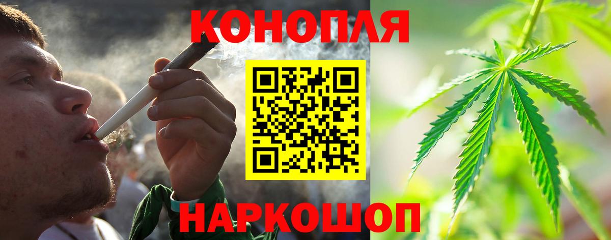 Бошки марихуана планчик  Вход с VPN  Благовещенск  Каннабис индика  Каннабис семена 